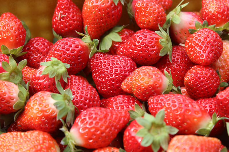 新鮮現採的豐香草莓