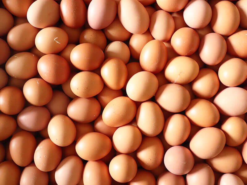 景御,雞蛋,紅殼雞蛋,無抗生素