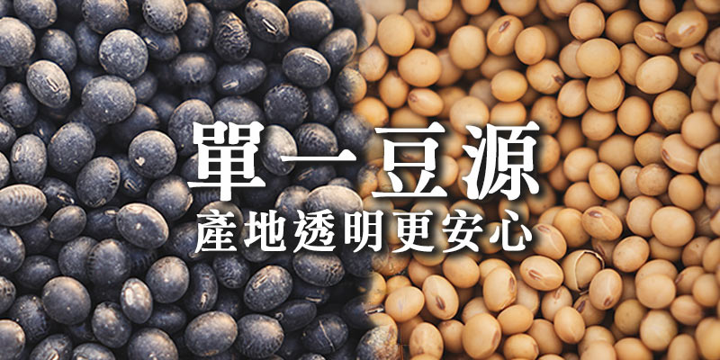 台灣大豆